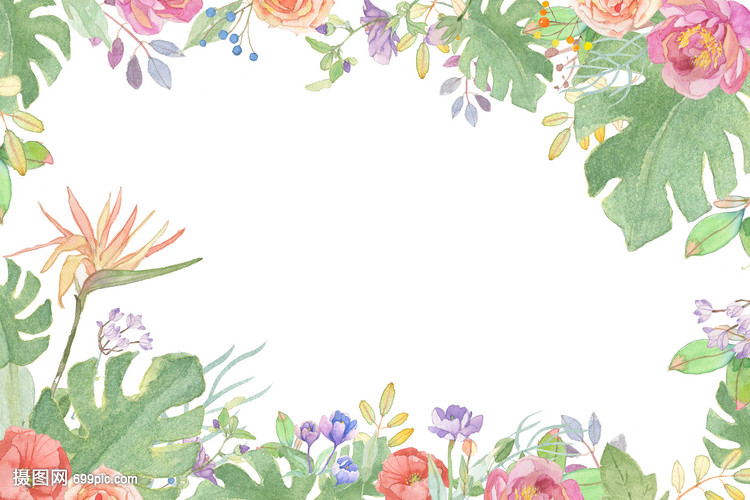 蔬间花语 小清新花卉与蔬菜的治愈系插画