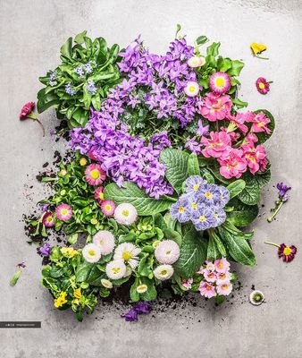 自然与蔬食的融合 蔬菜主题花卉园艺平面设计素材高清图集