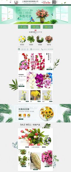 花卉 大自然的迷人馈赠