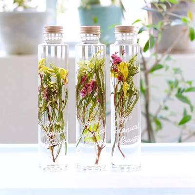 【蜜豹文创】方寸容器中的&ldquo;花花世界&rdquo;