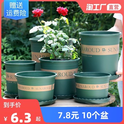 花卉网购热潮 绿植经济与生活美学的数字融合