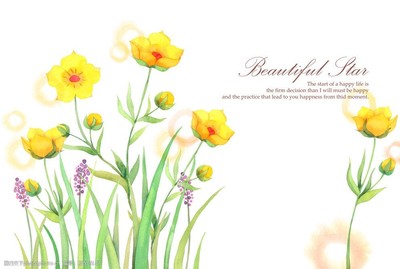 手绘唯美插画之花卉艺术